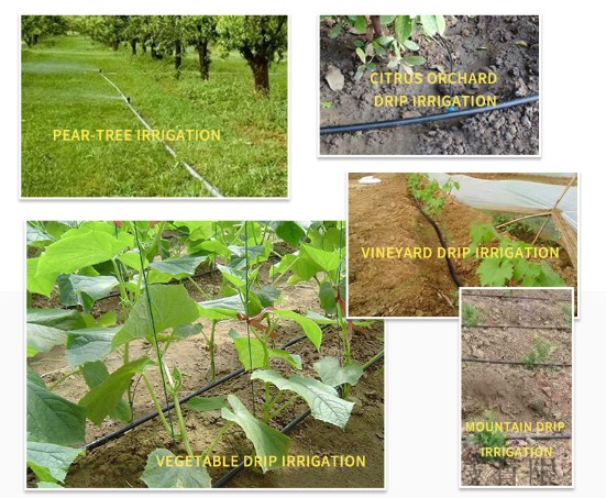 Advantages of home garden drip irrigation system