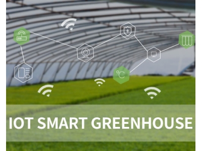 The Benefits of Smart Greenhouses