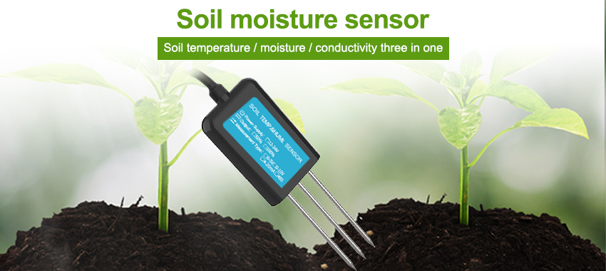 From Dirt to Data: The Role of Soil Sensors in Shaping the Future of Farming